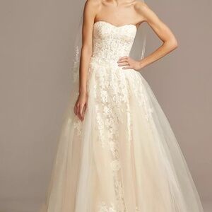 David’s Bridal Ivory Sheer Lace and Tulle Ball Gown Wedding Dress